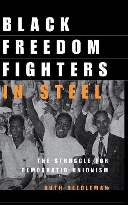 Cover of Black Freedom Fighters in Steel