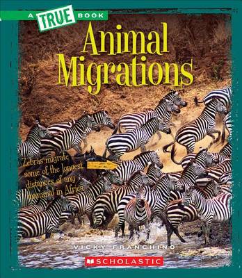 Book cover for Animal Migrations