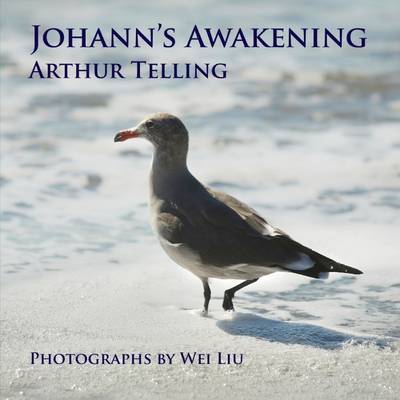 Book cover for Johann's Awakening