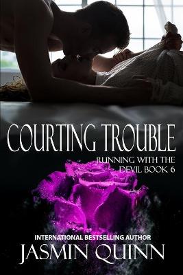 Book cover for Courting Trouble