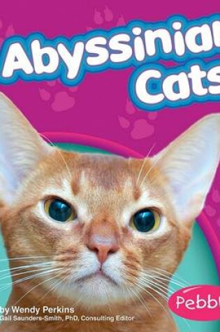 Cover of Abyssinian Cats