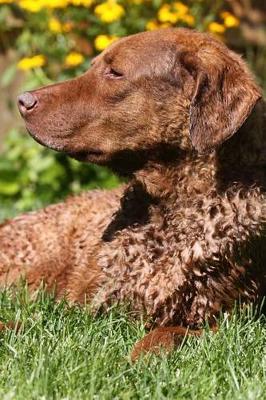 Book cover for The Chesapeake Bay Retriever Dog Journal