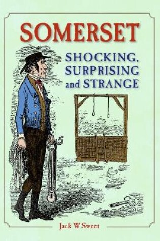 Cover of Somerset Shocking, Surprising and Strange