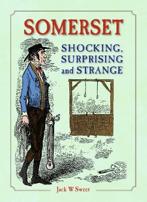 Book cover for Somerset Shocking, Surprising and Strange