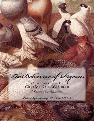 Book cover for The Behavior of Pigeons