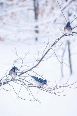 Book cover for Three Blue Jays Snowy Winter Branch Journal