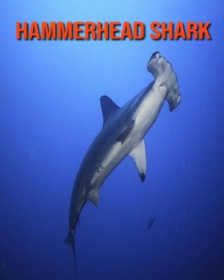 Book cover for Hammerhead Shark