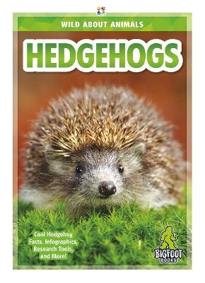 Book cover for Wild About Animals: Hedgehogs