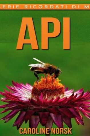 Cover of Api