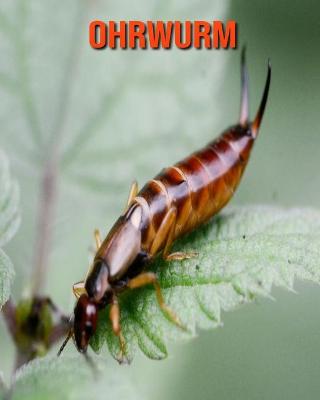Book cover for Ohrwurm