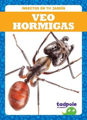 Book cover for Veo Hormigas