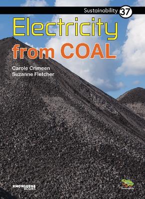 Book cover for Electricity from Coal