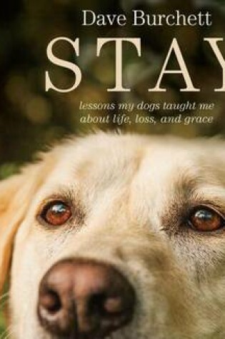 Cover of Stay (Library Edition)