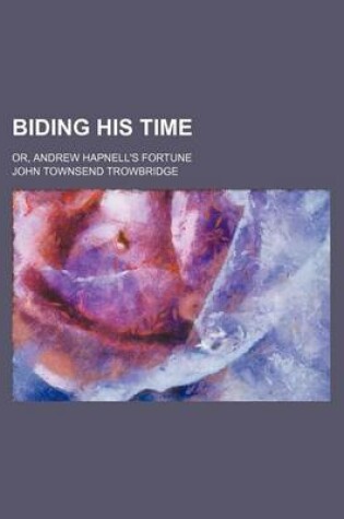 Cover of Biding His Time; Or, Andrew Hapnell's Fortune