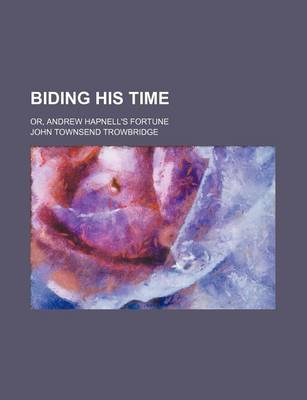 Book cover for Biding His Time; Or, Andrew Hapnell's Fortune