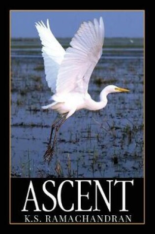 Cover of Ascent