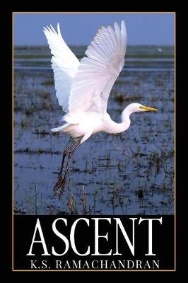 Book cover for Ascent