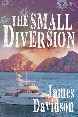 Book cover for The Small Diversion