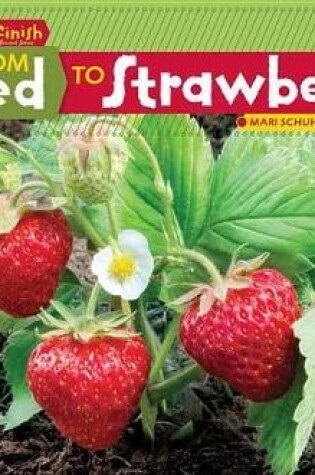 Cover of From Seed to Strawberry