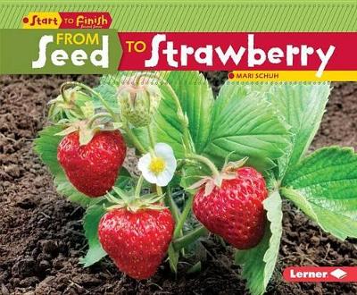 Book cover for From Seed to Strawberry