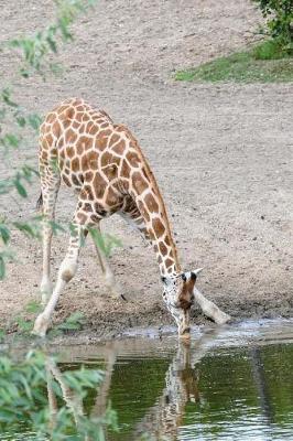 Book cover for Giraffe at the Waterhole Notebook