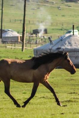 Book cover for A Beautiful Horse Crossing a Field Journal