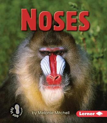 Book cover for Noses