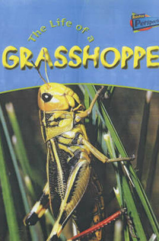 Cover of Raintree Perspectives: Life Cycles - the Life of a Grasshopper