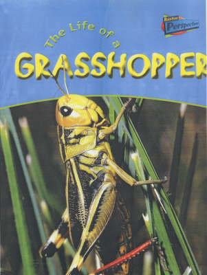 Book cover for Raintree Perspectives: Life Cycles - the Life of a Grasshopper