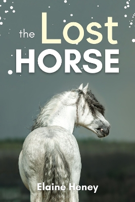 Cover of The Lost Horse