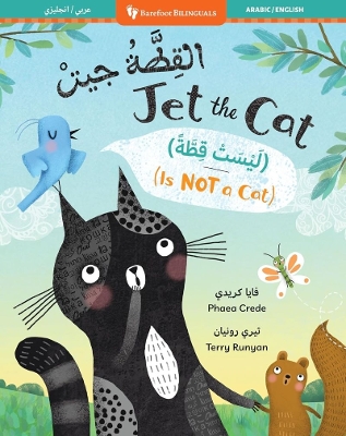 Book cover for Jet the Cat (Is Not a Cat) (Bilingual Arabic & English)