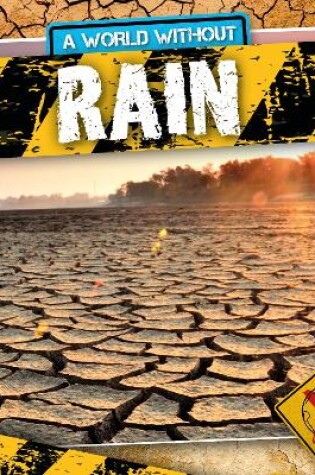 Cover of Rain