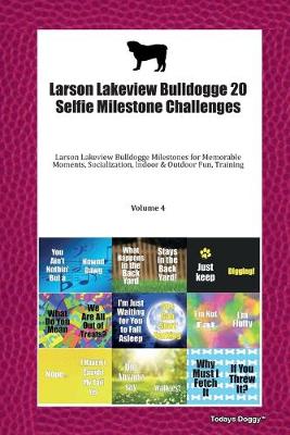 Book cover for Larson Lakeview Bulldogge 20 Selfie Milestone Challenges