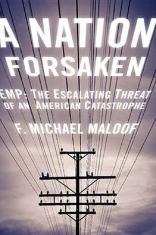 Cover of A Nation Forsaken