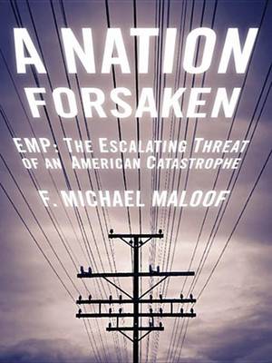 Book cover for A Nation Forsaken