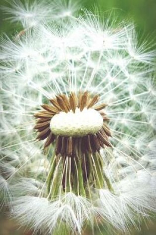 Cover of Dandelion Fluff Plant Journal