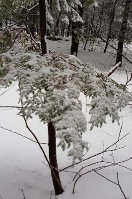 Cover of Journal Pretty Winter Snowstorm Photography