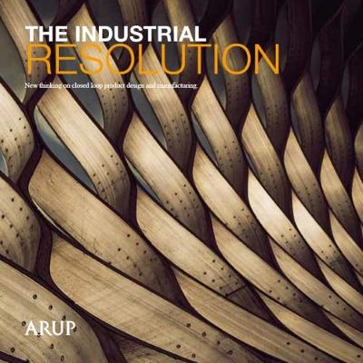 Book cover for The Industrial Resolution