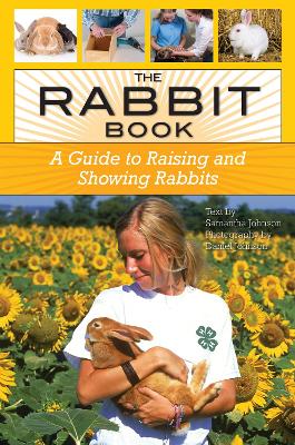 Book cover for The Rabbit Book