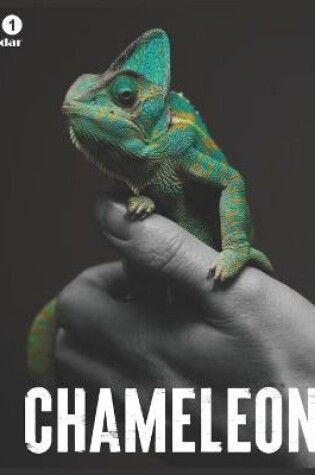 Cover of 2021 chameleon