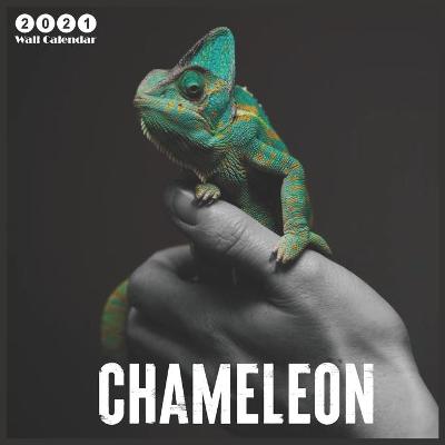 Book cover for 2021 chameleon