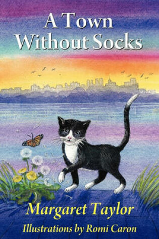 Cover of A Town Without Socks