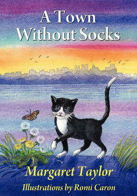 Book cover for A Town Without Socks