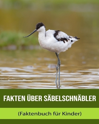 Book cover for Fakten über Säbelschnäbler (Faktenbuch für Kinder)