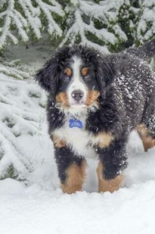 Cover of Bernese Mountain Dog Posing in the Snow Journal