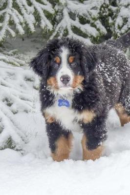 Book cover for Bernese Mountain Dog Posing in the Snow Journal