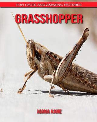 Book cover for Grasshopper