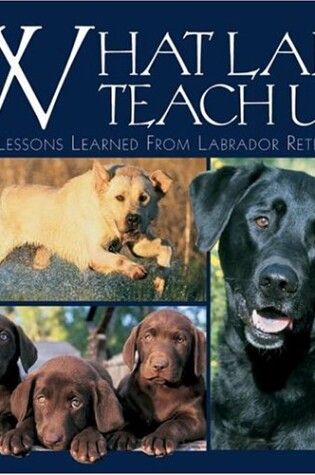 Cover of What Labs Teach Us