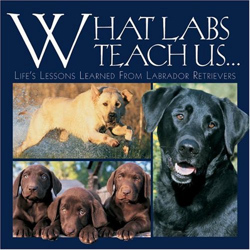 Book cover for What Labs Teach Us