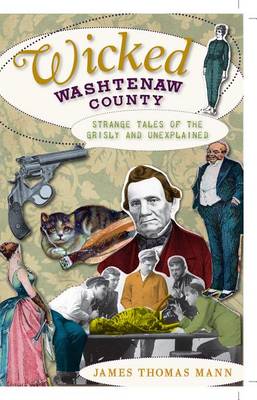 Book cover for Wicked Washtenaw